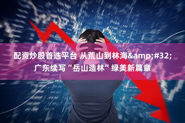配资炒股首选平台 从荒山到林海&#32;广东续写“岳山造林”绿美新篇章
